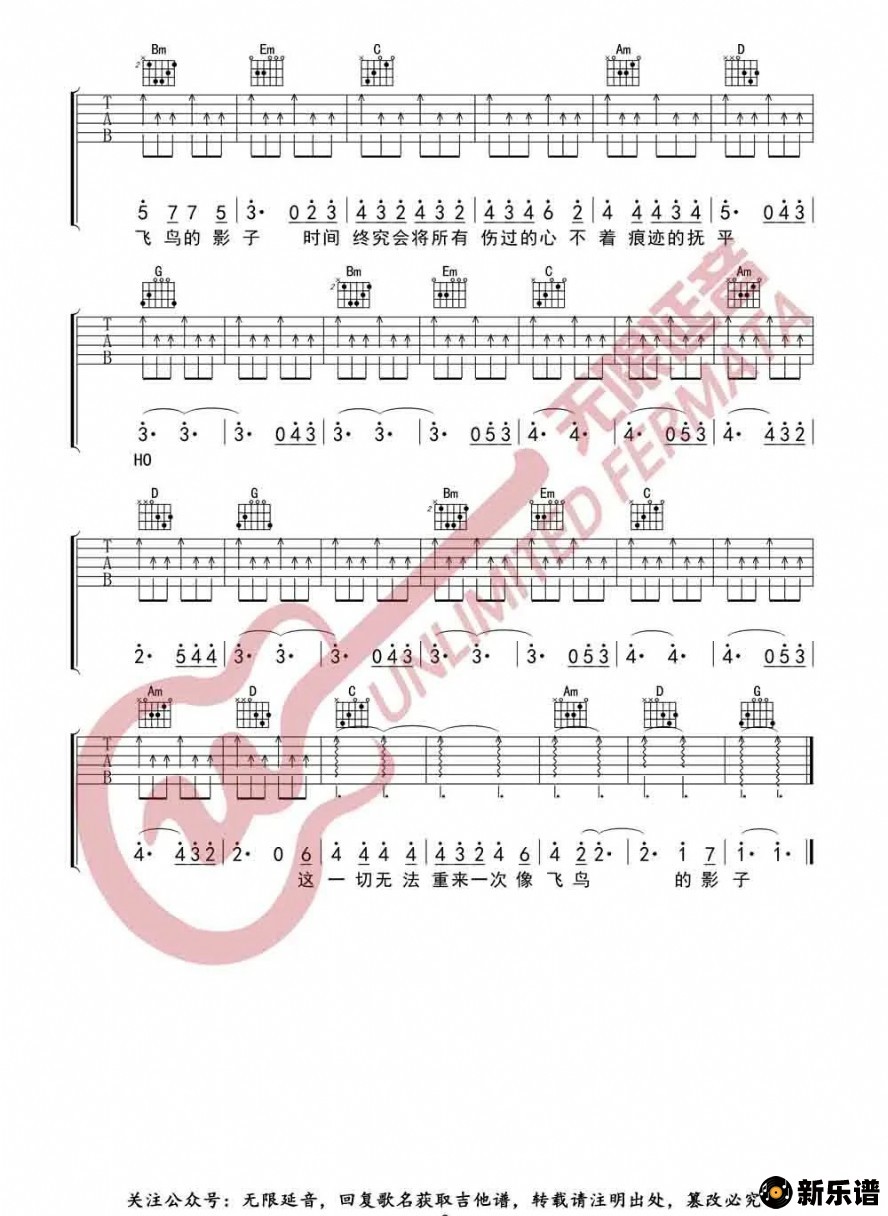 歌曲飞鸟的影子的简谱歌谱下载