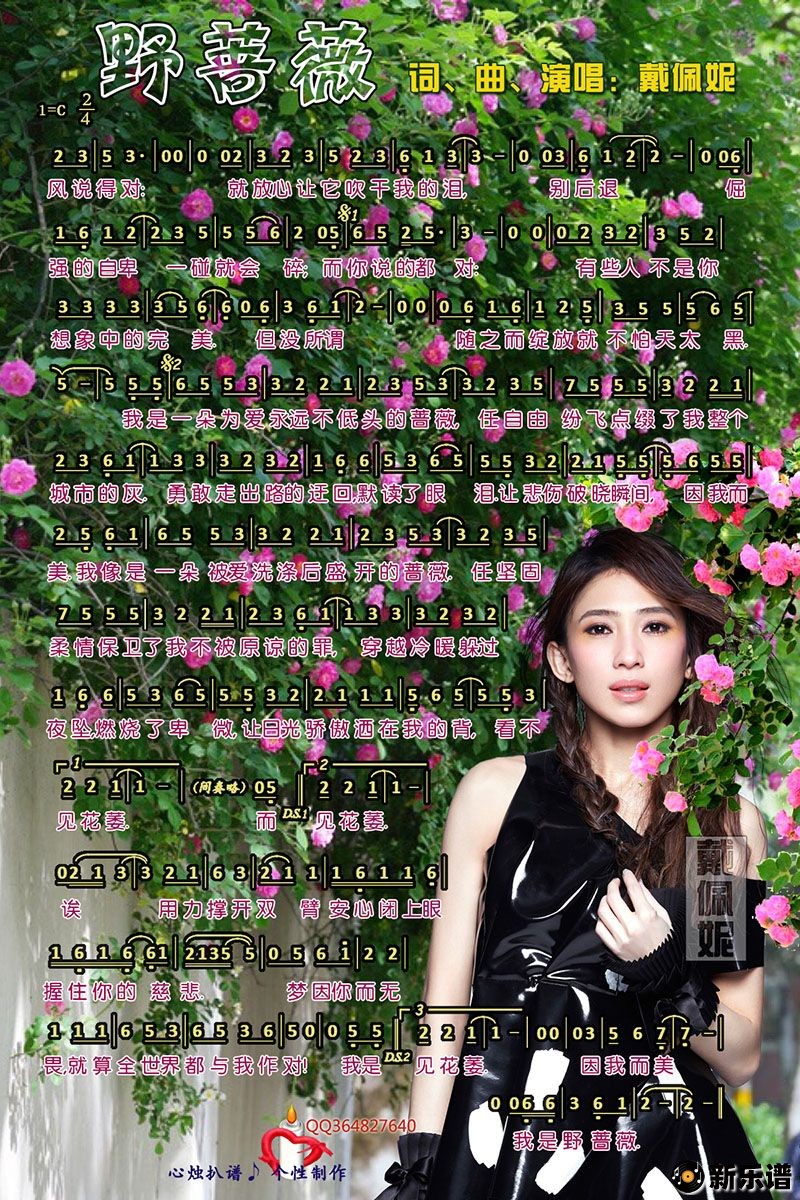 歌曲野蔷薇的简谱歌谱下载