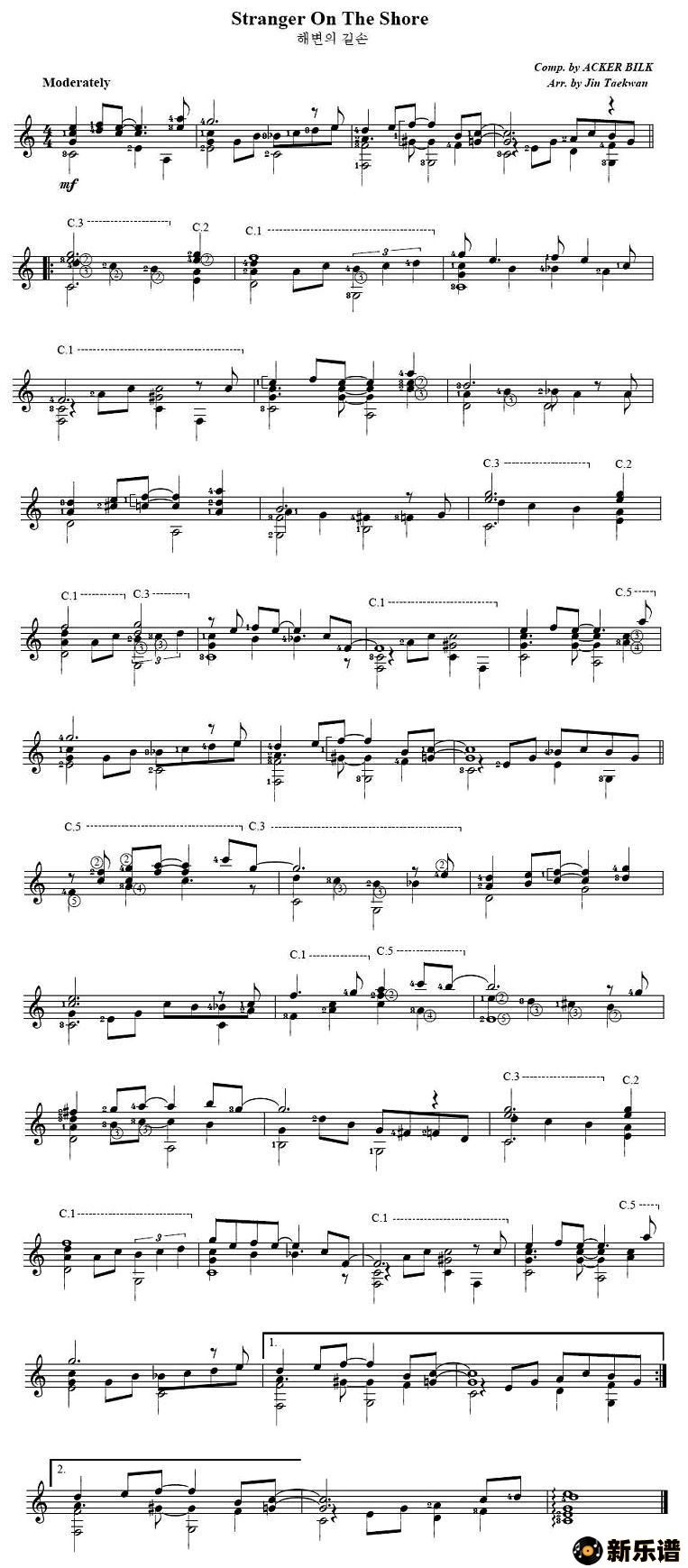 stranger on the shoreļ׸