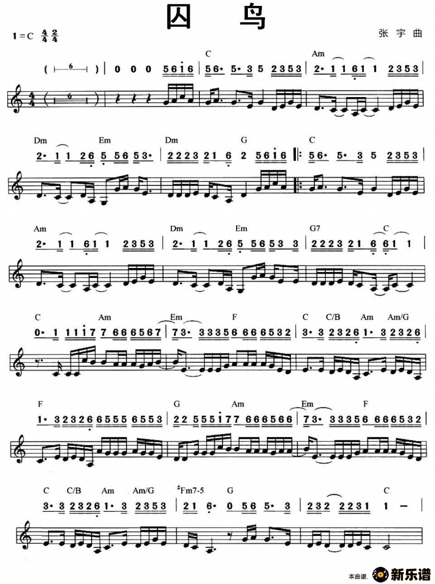 歌曲囚鸟的简谱歌谱下载