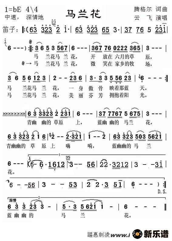 �����������ļ��׸�������