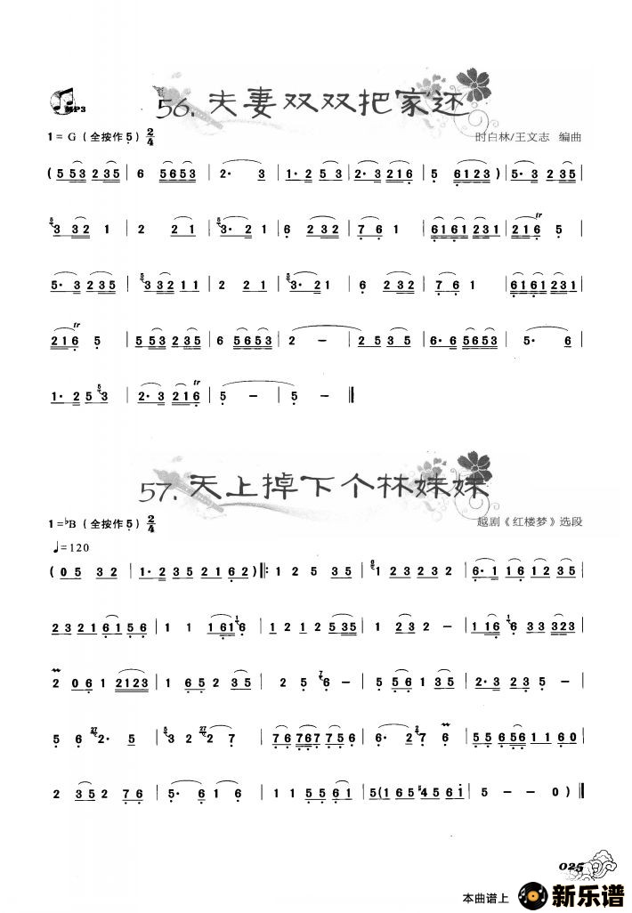 «˿ѡ˫˫Ѽһ ϵ¸õļ׸