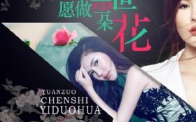 Ը������һ�仨