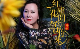 �쳾����������