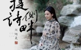 ��ʫ����