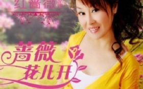 �����Ĺ���