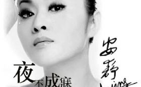 ҹ������