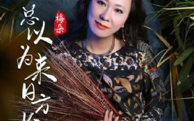 ����Ϊ���շ���