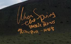 �������ﴵ