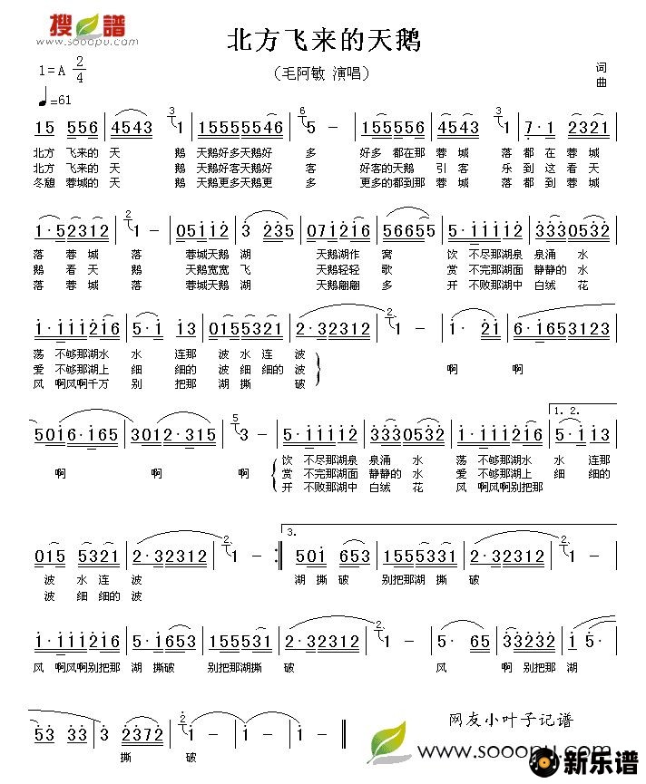 歌曲北方飞来的天鹅的简谱歌谱下载